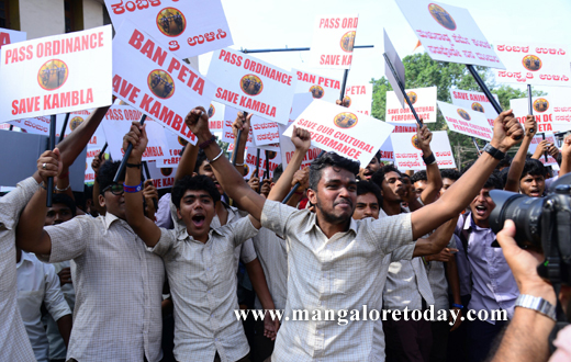 stuents  protest against Kambla ban in Mangalore